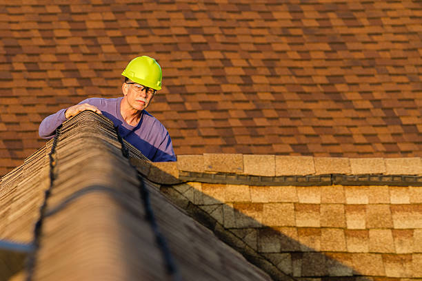 Roof Gutter Cleaning in Payette, ID